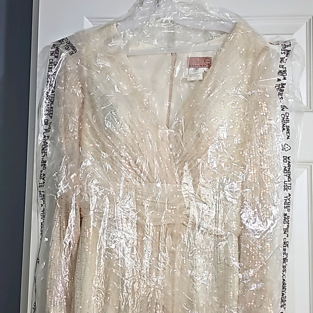 Sequin dress Elizabeth K by gls,beige size 4